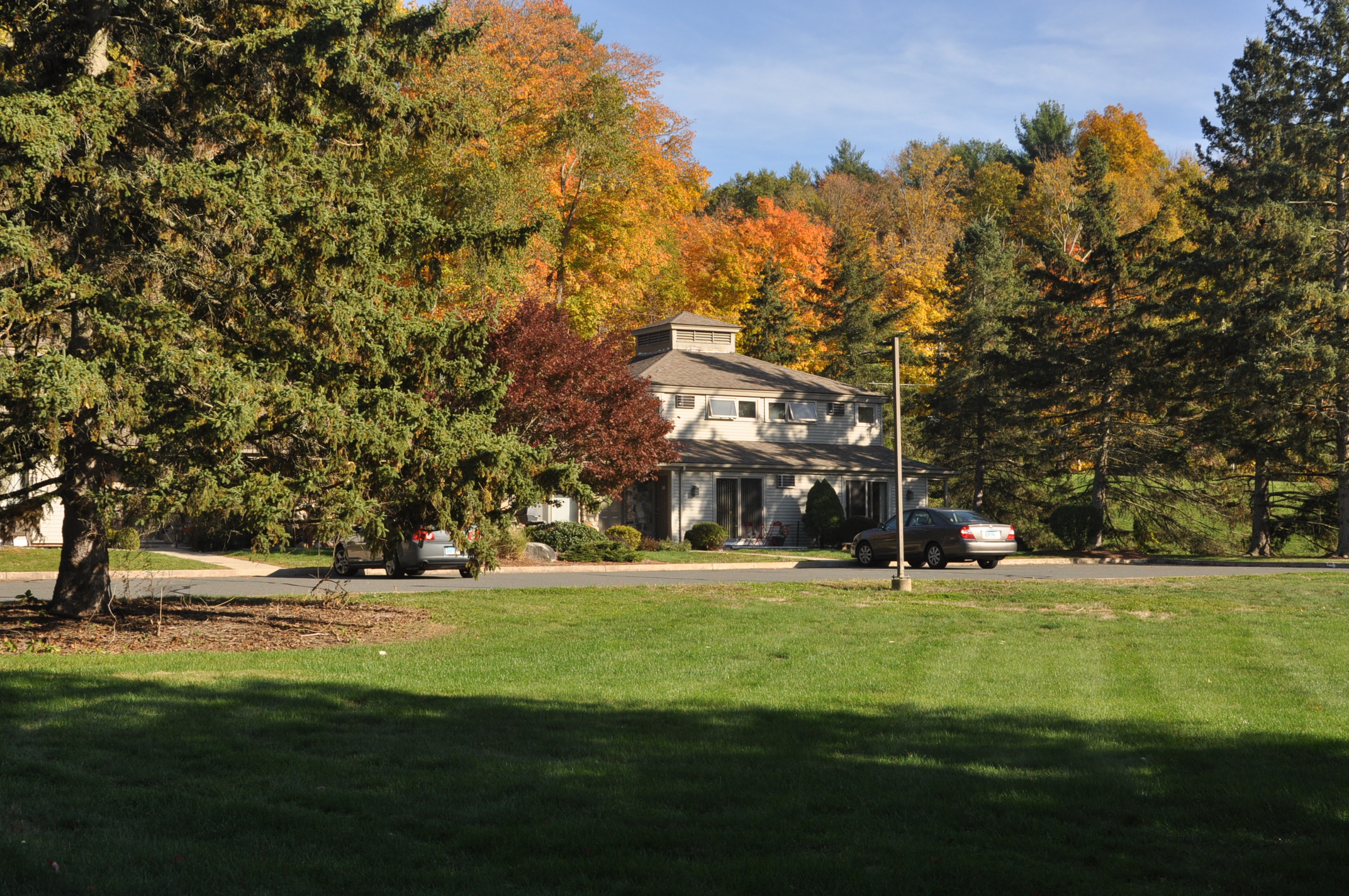 Townhouse Gardens